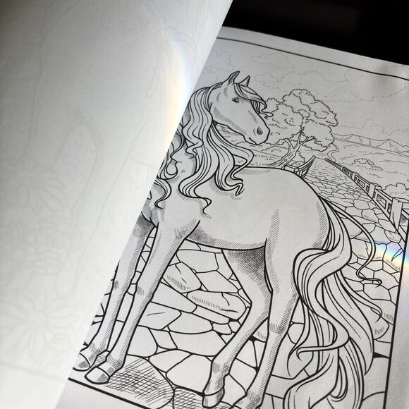 Deena Stone HORSES Coloring Book For Adults NEW - Picture 3 of 6